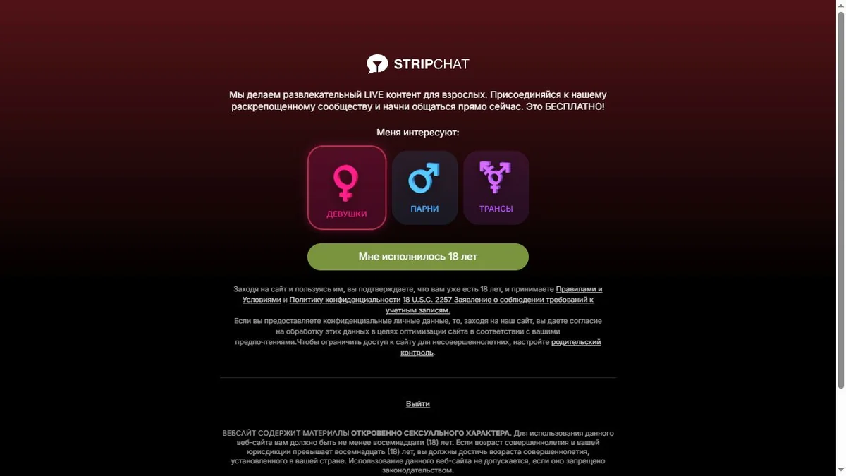 Stripchat live cam interface
