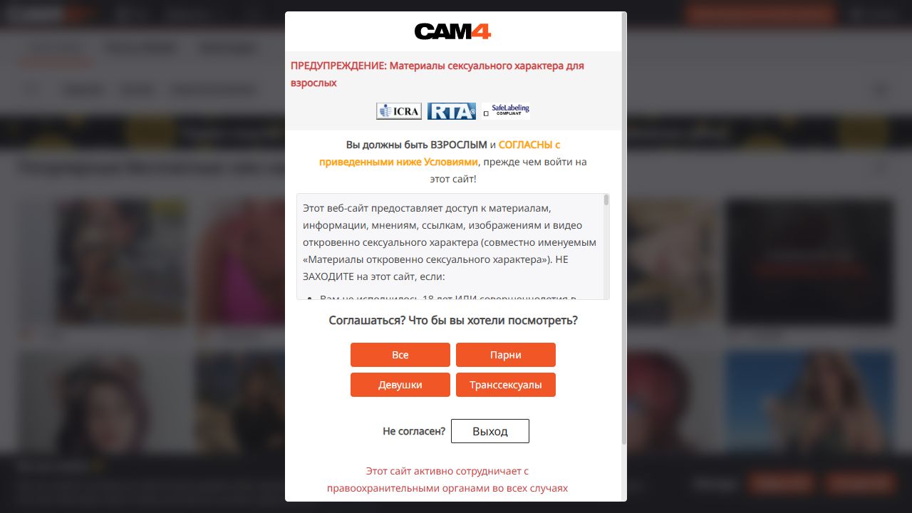 Pantalla de aviso de edad de CAM4 antes del catálogo público.